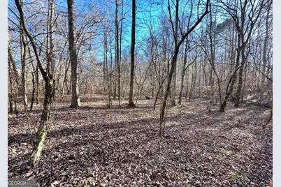8555 Woodland Brooke Trail, Cumming, GA 30028 - Photo 19