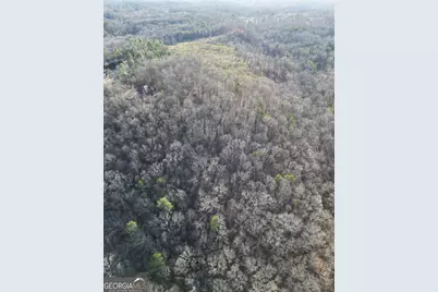 8555 Woodland Brooke Trail, Cumming, GA 30028 - Photo 37