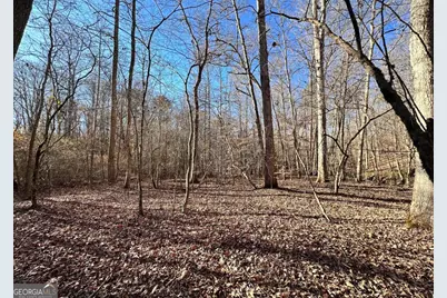 8555 Woodland Brooke Trail, Cumming, GA 30028 - Photo 21