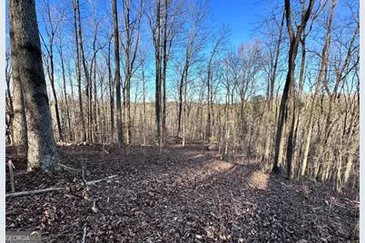 8555 Woodland Brooke Trail, Cumming, GA 30028 - Photo 7