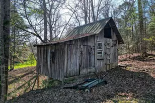 9674 Old Hwy 76, Morganton, GA 30560 - Photo 39