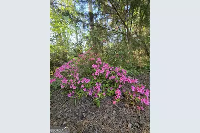126 Honeysuckle Road, Monticello, GA 31064 - Photo 27