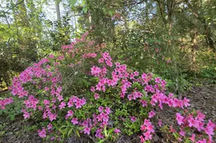 126 Honeysuckle Rd, Monticello, GA 31064 - Photo 27