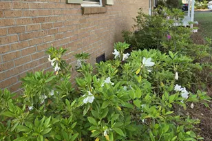 126 Honeysuckle Rd, Monticello, GA 31064 - Photo 21