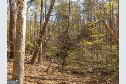 4.38 A Mountain Tops Road, Blue Ridge, GA 30513 - Photo 11