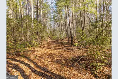 4.38 A Mountain Tops Road, Blue Ridge, GA 30513 - Photo 5
