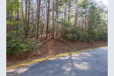 4.38 A Mountain Tops Road, Blue Ridge, GA 30513 - Photo 13