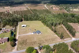 6213 Spanish Creek Rd, Folkston, GA 31537 - Photo 9