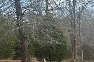 969 Flowers Rd, Molena, GA 30258 - Photo 5