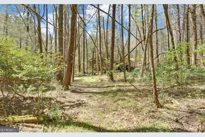 380 Bear Foot Drive, Blue Ridge, GA 30513 - Photo 47