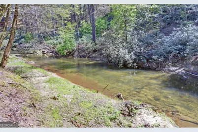 380 Bear Foot Drive, Blue Ridge, GA 30513 - Photo 43