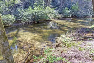 380 Bear Foot Drive, Blue Ridge, GA 30513 - Photo 41