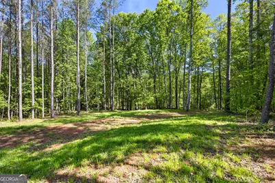 159 Wolf Creek Cove, Lagrange, GA 30240 - Photo 69