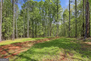 159 Wolf Crk Cv, Lagrange, GA 30240 - Photo 55