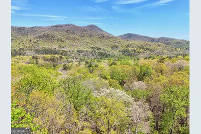 542 Eastern Cross Lane, Clayton, GA 30525 - Photo 63