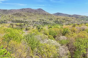 542 Eastern Cross Ln, Clayton, GA 30525 - Photo 63