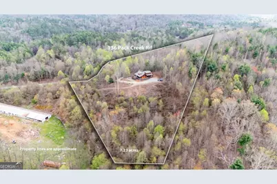 136 Pack Creek Road, Blue Ridge, GA 30513 - Photo 3