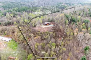 136 Pack Creek Rd, Blue Ridge, GA 30513 - Photo 3