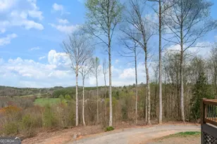 136 Pack Creek Rd, Blue Ridge, GA 30513 - Photo 29