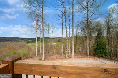 136 Pack Creek Road, Blue Ridge, GA 30513 - Photo 27