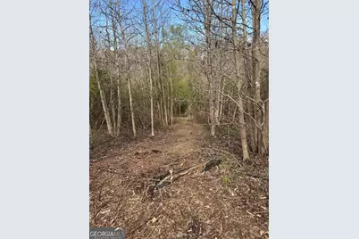 738 Old Mineral Springs Road, Elberton, GA 30635 - Photo 33
