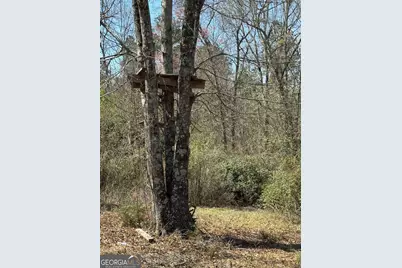 738 Old Mineral Springs Road, Elberton, GA 30635 - Photo 19