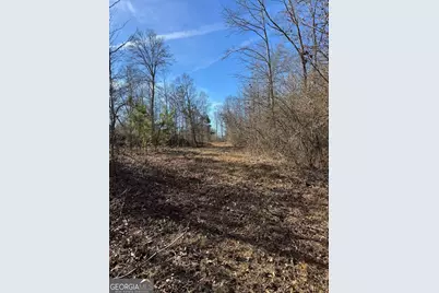 738 Old Mineral Springs Road, Elberton, GA 30635 - Photo 15