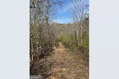 738 Old Mineral Springs Road, Elberton, GA 30635 - Photo 27