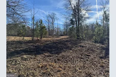 738 Old Mineral Springs Road, Elberton, GA 30635 - Photo 7