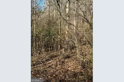 738 Old Mineral Springs Road, Elberton, GA 30635 - Photo 13