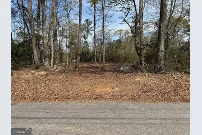 738 Old Mineral Springs Road, Elberton, GA 30635 - Photo 3