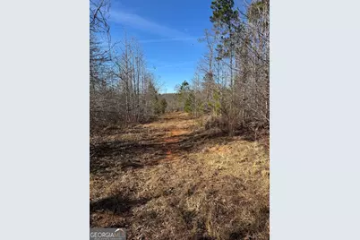 738 Old Mineral Springs Road, Elberton, GA 30635 - Photo 5