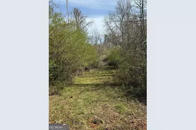 738 Old Mineral Springs Road, Elberton, GA 30635 - Photo 29
