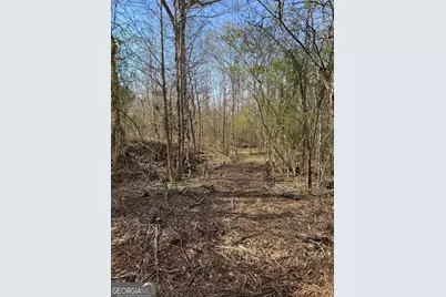 738 Old Mineral Springs Road, Elberton, GA 30635 - Photo 35