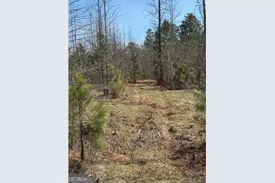 738 Old Mineral Springs Road, Elberton, GA 30635 - Photo 21