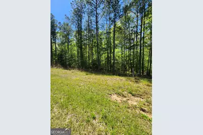 674 Lower River Road, Covington, GA 30016 - Photo 3
