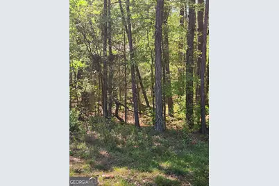 674 Lower River Road, Covington, GA 30016 - Photo 9