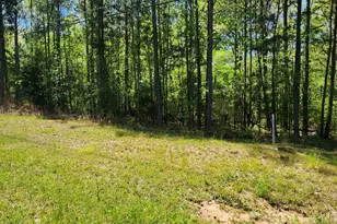 674 Lower River Rd, Covington, GA 30016 - Photo 1