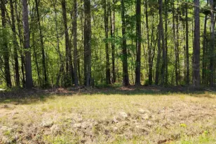674 Lower River Rd, Covington, GA 30016 - Photo 1