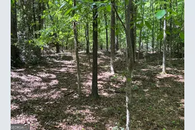 0 Goshen Street, Lincolnton, GA 30817 - Photo 7