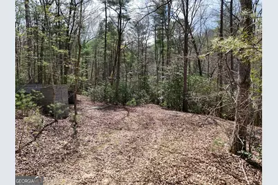 Lt 117 Laurel Trace, Blue Ridge, GA 30513 - Photo 3