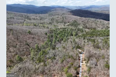 Lt 117 Laurel Trace, Blue Ridge, GA 30513 - Photo 11
