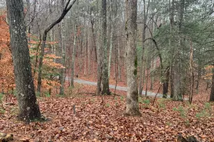 2055 Star Creek Rd, Morganton, GA 30560 - Photo 37