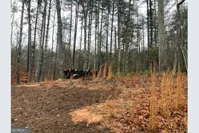 2055 Star Creek Road, Morganton, GA 30560 - Photo 35