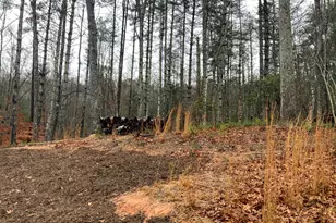 2055 Star Creek Rd, Morganton, GA 30560 - Photo 35