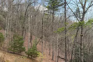 42 Gobbler Ln, Clayton, GA 30525 - Photo 39