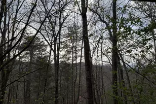 42 Gobbler Ln, Clayton, GA 30525 - Photo 41