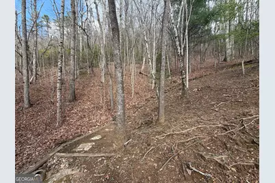 42 Gobbler Lane, Clayton, GA 30525 - Photo 29
