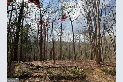 42 Gobbler Lane, Clayton, GA 30525 - Photo 39