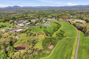 165 Pearl St, Clarkesville, GA 30523 - Photo 41